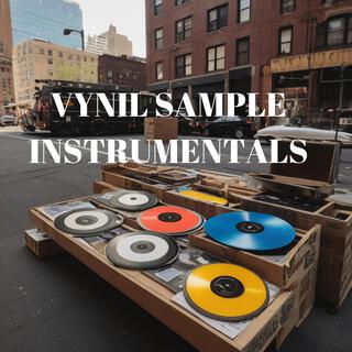 VYNIL SAMPLE INSTRUMENTALS