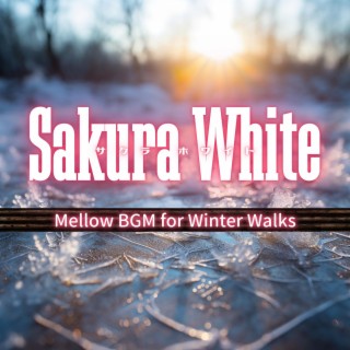 Mellow Bgm for Winter Walks