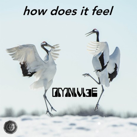 How Does It Feel ft. T Jae Cole | Boomplay Music