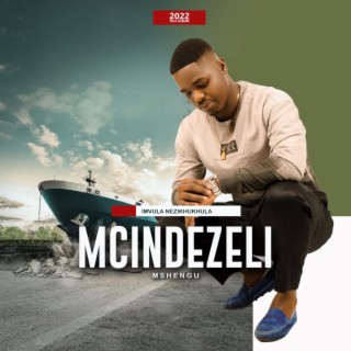 Mcindezeli Mshengu