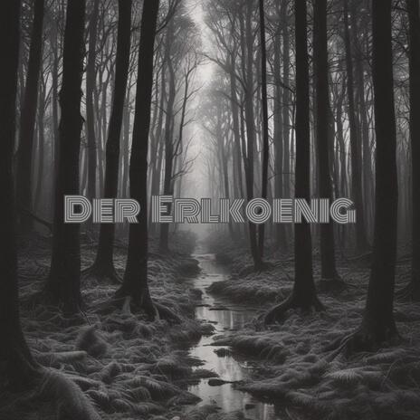 Der Erlkönig | Boomplay Music