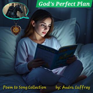 God's Perfect Plan lyrics | Boomplay Music