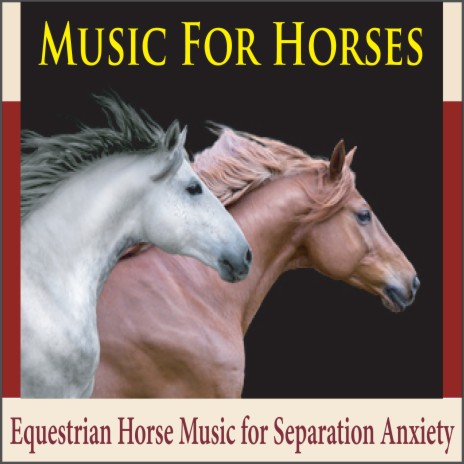 Earth, Wind, and Sun (Music for Horses) | Boomplay Music