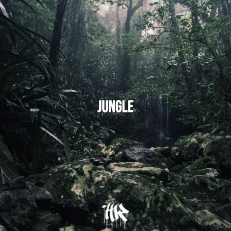 Jungle | Boomplay Music