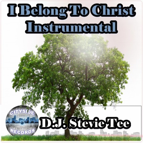 I Belong to Christ (Instrumental) | Boomplay Music