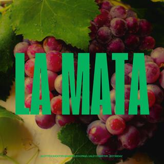 LA MATA