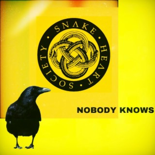 Nobody Knows lyrics | Boomplay Music