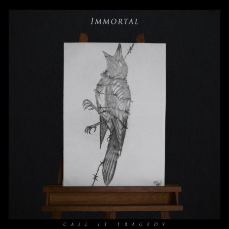 Immortal | Boomplay Music