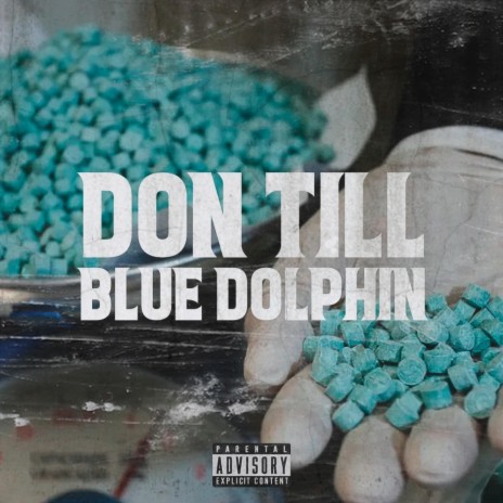 Blue Dolphin | Boomplay Music
