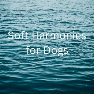 Soft Harmonies for Dogs