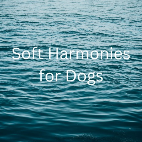 Soft music for pets