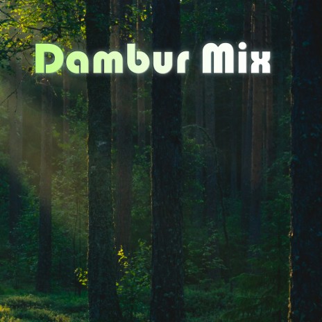 Dambur Mix | Boomplay Music