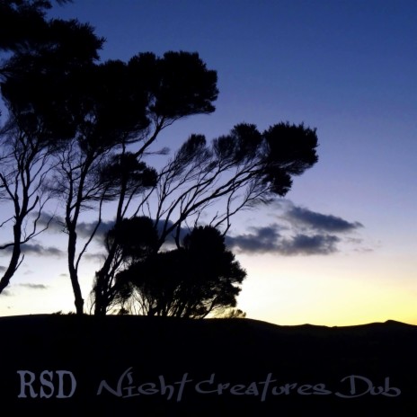 Night Creatures Dub | Boomplay Music