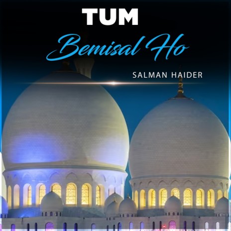 Tum Bemisal Ho | Boomplay Music