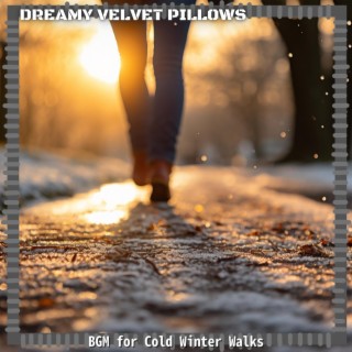 Bgm for Cold Winter Walks