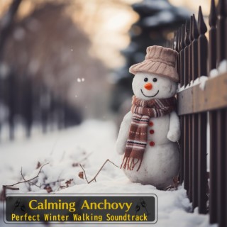 Perfect Winter Walking Soundtrack