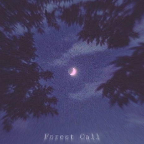 Forest Call | Boomplay Music