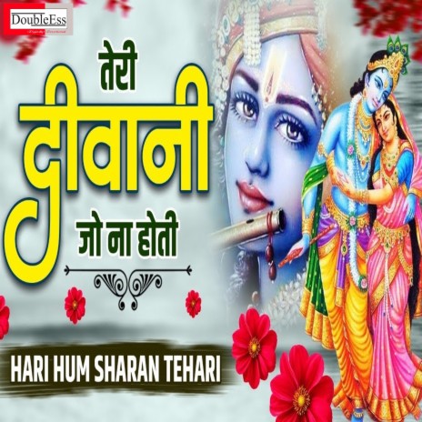 Teri Deewani Jo Na Hoti (Hindi) | Boomplay Music