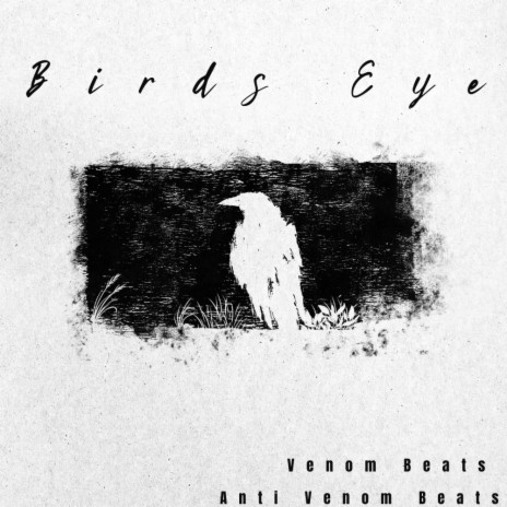 Birds Eye | Boomplay Music