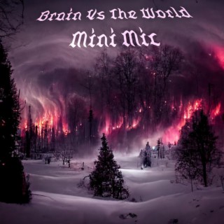 Brain vs The World