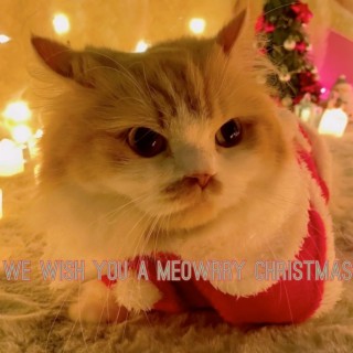 We Wish You a Meowrry Christmas