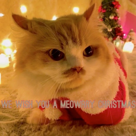 We Wish You a Meowrry Christmas (Sped Up Version)