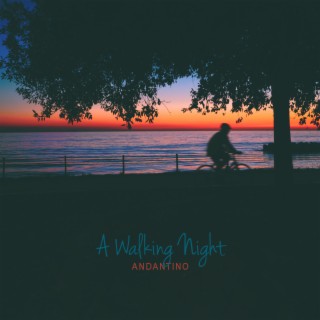 A Walking Night