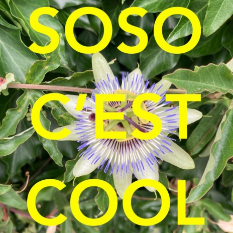 SOSO C'EST COOL | Boomplay Music
