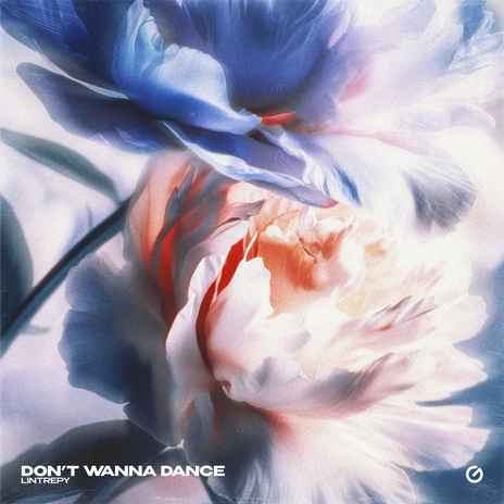 Don't Wanna Dance | Boomplay Music