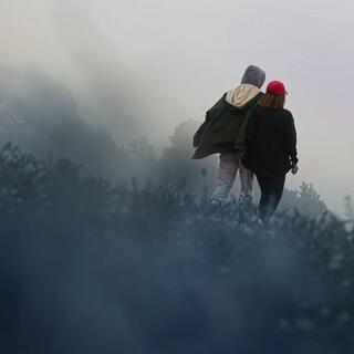 Love in the Mist