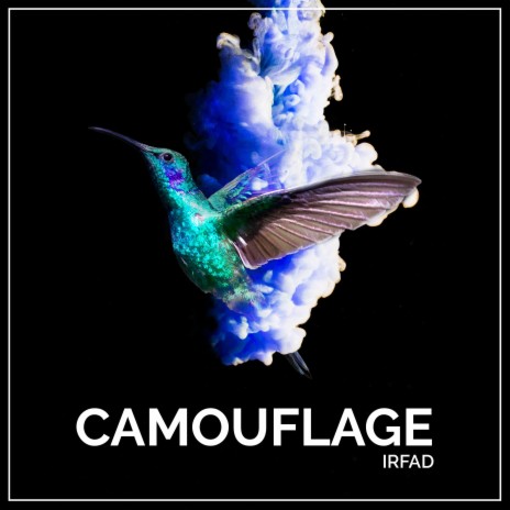 Camouflage | Boomplay Music