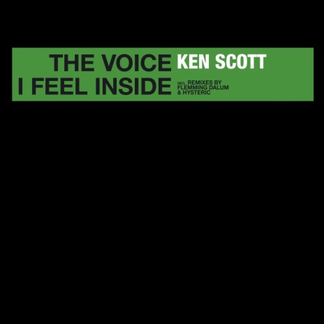 The Voice I Feel Inside | Boomplay Music