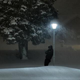 The Snow When It Falls lyrics | Boomplay Music