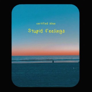 stupid feelings