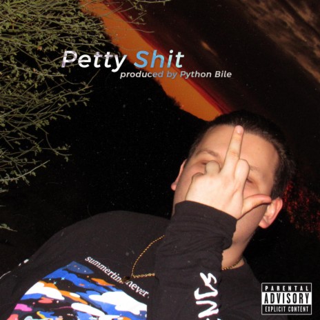 Petty Shit (Single Version) | Boomplay Music