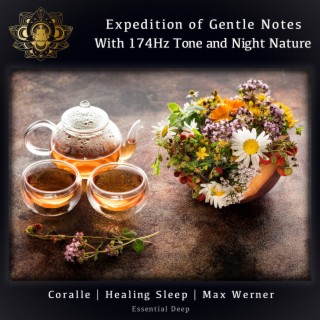 Expedition of Gentle Notes with 174Hz Tone and Night Nature