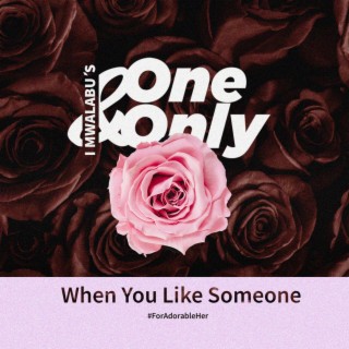 When You Like Someone (The Original)