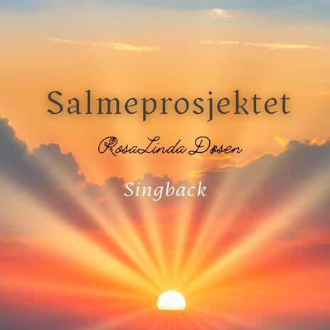 Fager kveldsol smiler (singback) | Boomplay Music