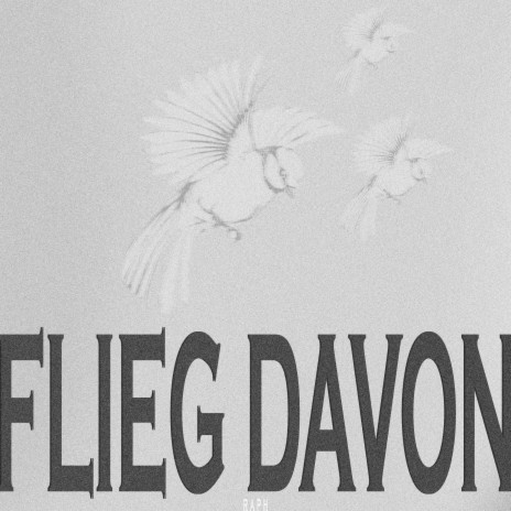 Flieg davon