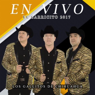 En Vivo El Carricito 2017 (En vivo)