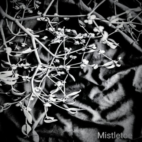 Mistletoe (Live at the Banham Barrel)