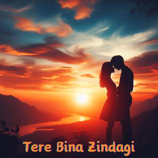 Tere Bina Zindagi