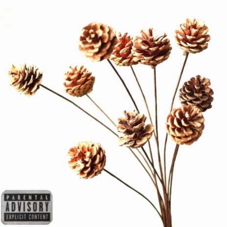 Pinecones On A Stick | Boomplay Music