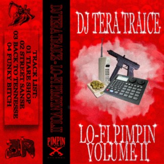 LO-FI PIMPIN VOLUME II