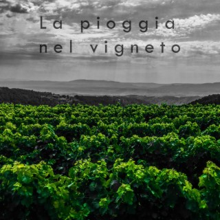 La pioggia nel vigneto