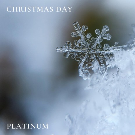 Christmas Day | Boomplay Music