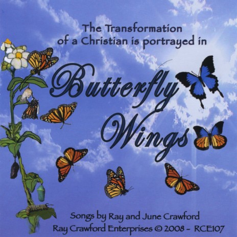 Butterfly Wings | Boomplay Music