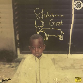 Stubborn Goat