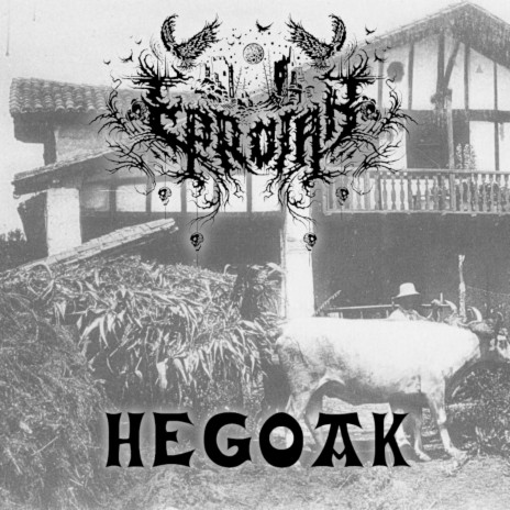 Hegoak | Boomplay Music