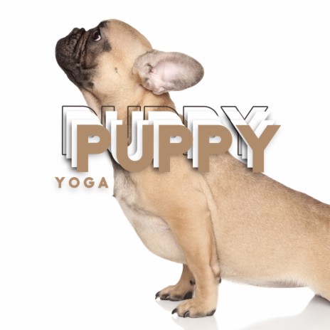 Puppy Yoga ft. Pet Relax Academy